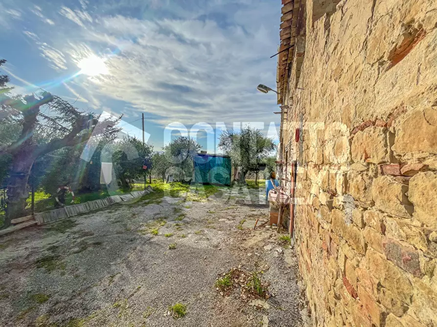 Immagine 2 di Rustico / casale in vendita  a Monte Roberto