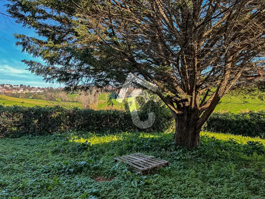 Immagine 40 di Rustico / casale in vendita  a Jesi