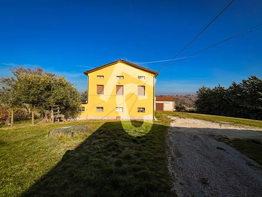 Immagine 61 di Rustico / casale in vendita  a Staffolo