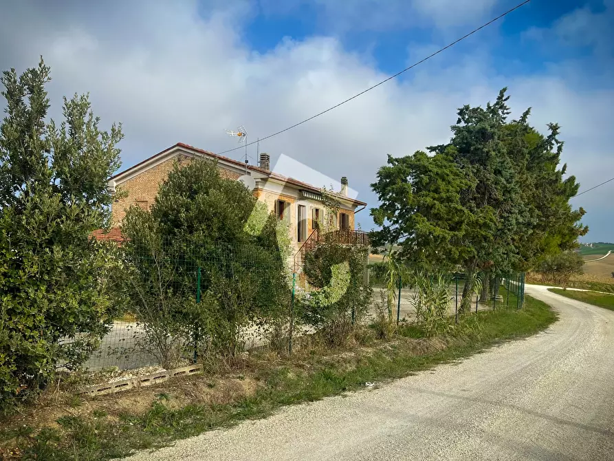 Immagine 33 di Rustico / casale in vendita  a Montecarotto