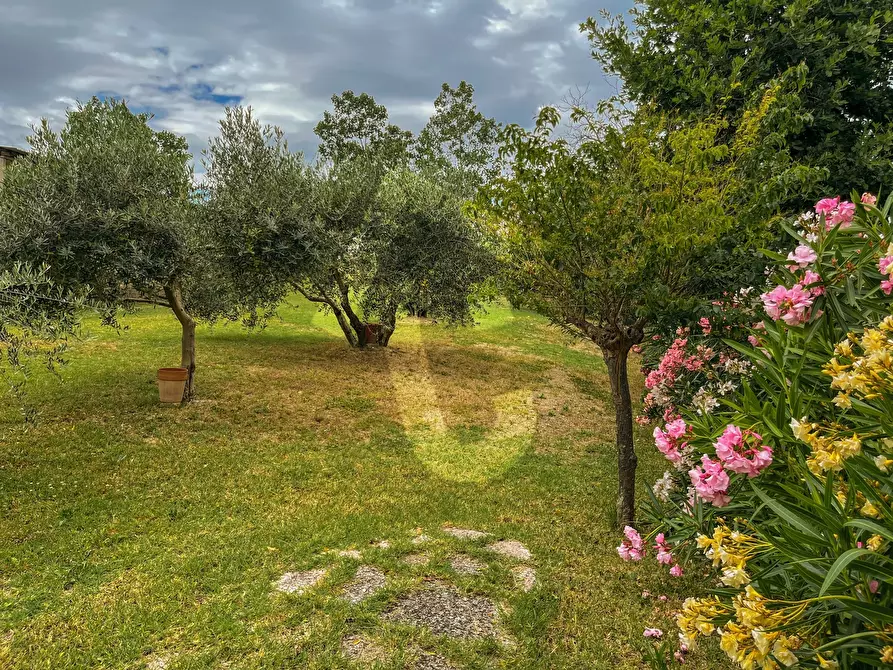 Immagine 14 di Casa indipendente in vendita  a Jesi