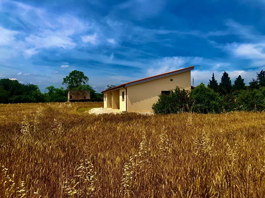 Immagine 5 di Terreno agricolo in vendita  a Jesi
