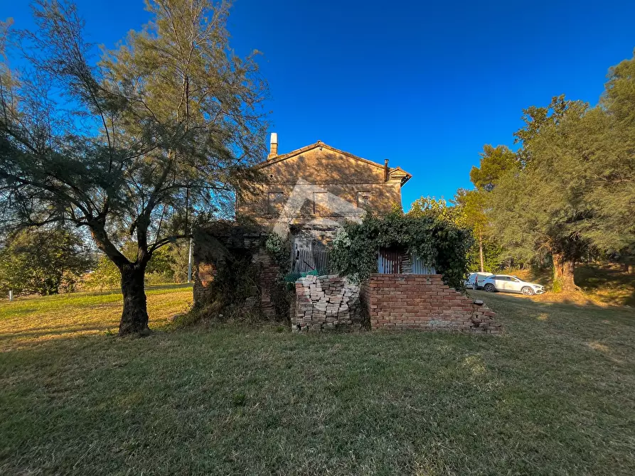 Immagine 9 di Rustico / casale in vendita  a Jesi