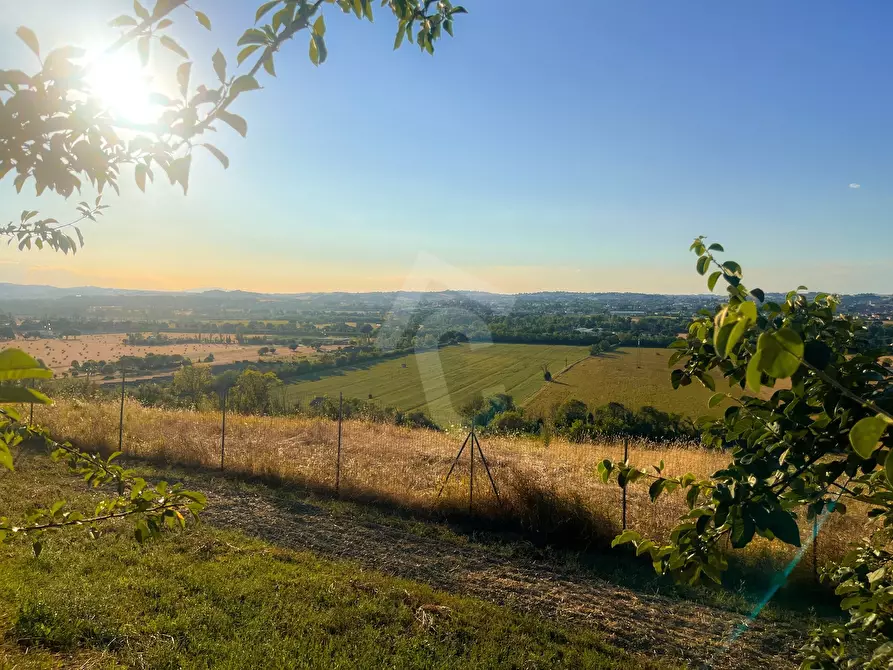 Immagine 12 di Rustico / casale in vendita  a Jesi