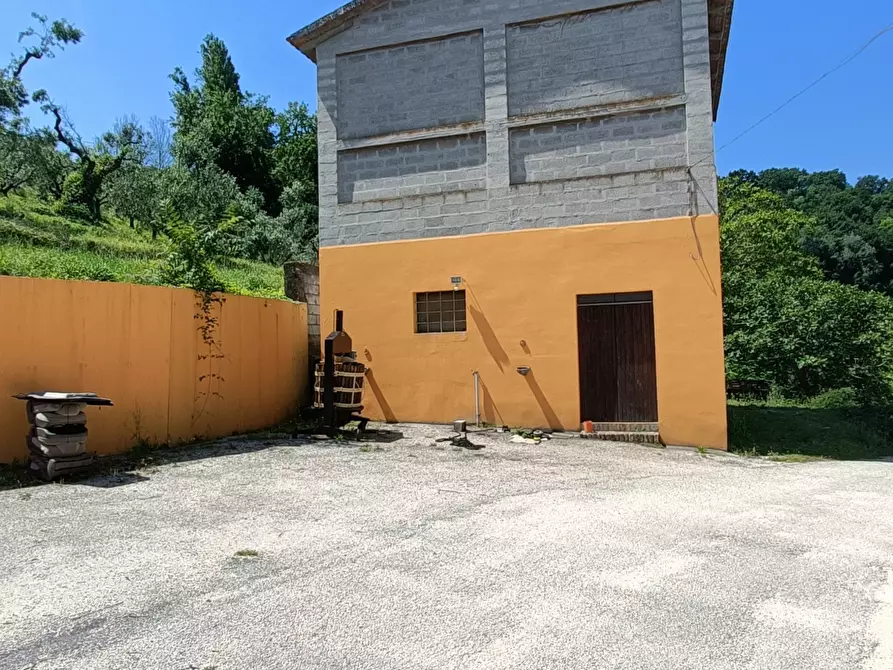 Immagine 23 di Rustico / casale in vendita  a Maiolati Spontini