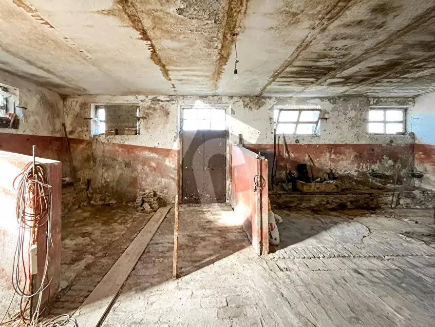 Immagine 48 di Rustico / casale in vendita  a Staffolo