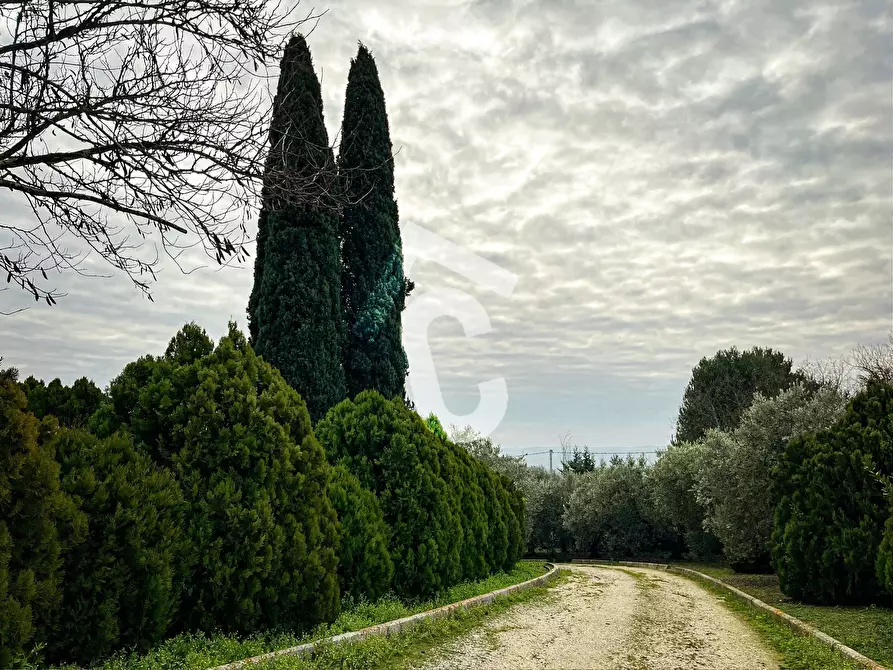 Immagine 24 di Terreno edificabile in vendita  a Jesi