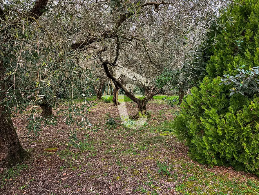 Immagine 26 di Terreno edificabile in vendita  a Jesi