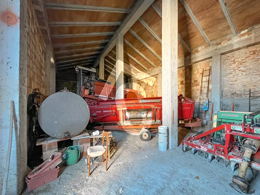 Immagine 58 di Rustico / casale in vendita  a Staffolo