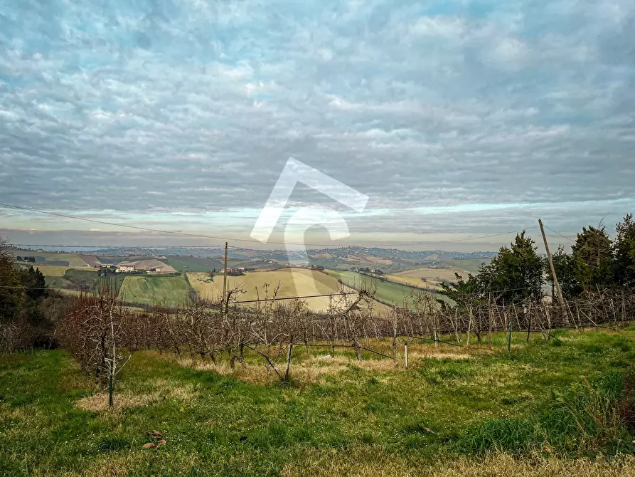 Immagine 16 di Terreno edificabile in vendita  a Jesi