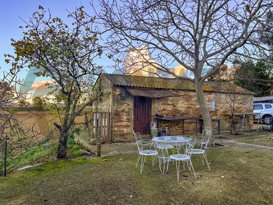 Immagine 22 di Rustico / casale in vendita  a Monsano