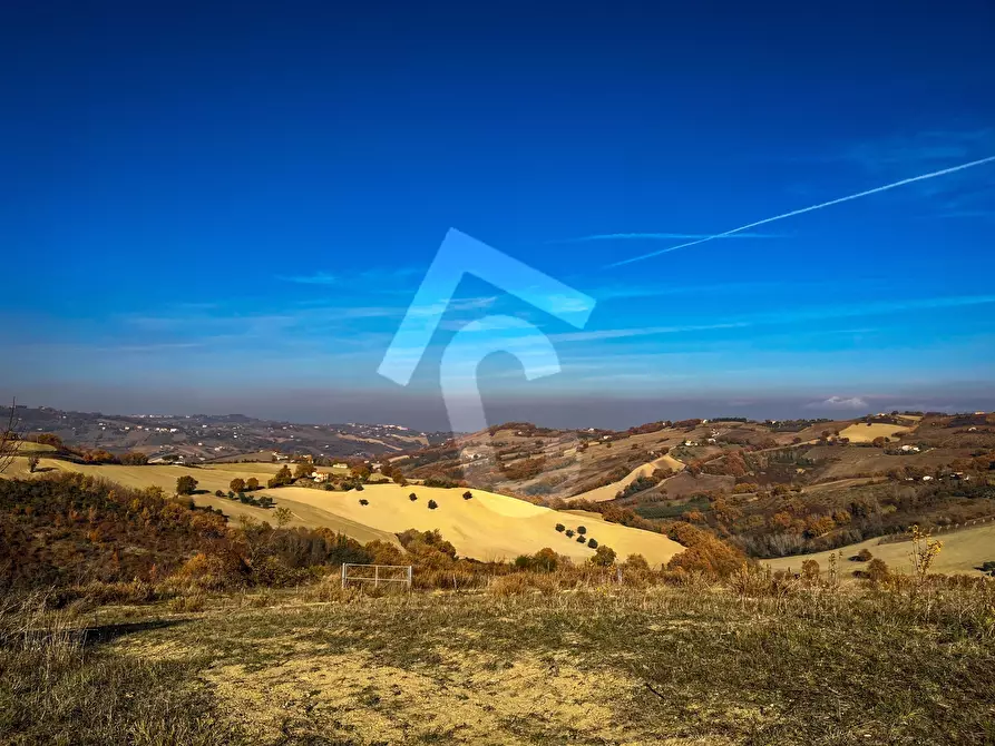 Immagine 11 di Rustico / casale in vendita  a Staffolo