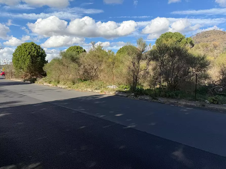 Immagine 6 di Terreno agricolo in vendita  a Nicolosi