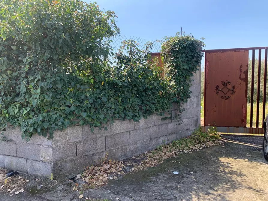 Immagine 14 di Terreno agricolo in vendita  a Pedara