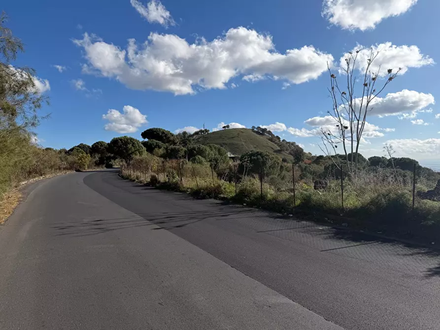 Immagine 18 di Terreno agricolo in vendita  a Nicolosi