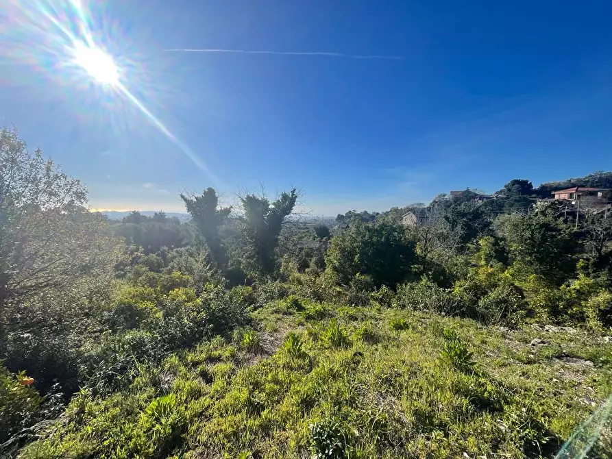 Immagine 11 di Terreno industriale in vendita  a Trecastagni