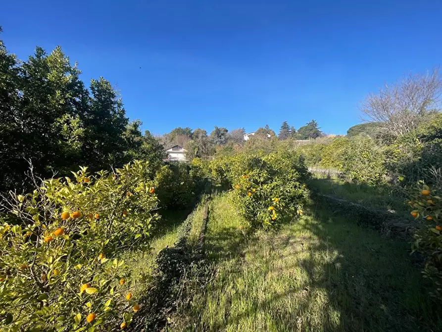 Immagine 9 di Terreno industriale in vendita  a Trecastagni