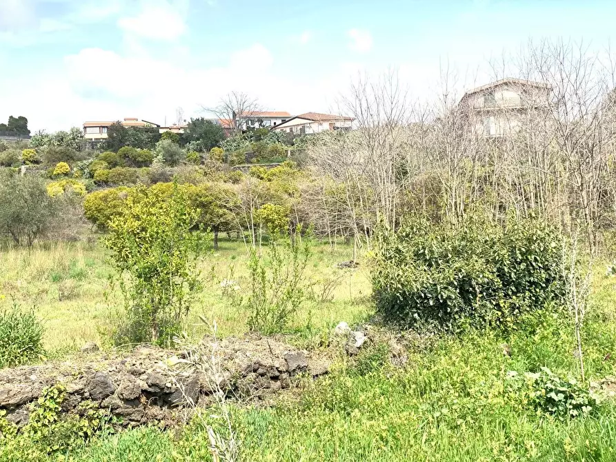 Immagine 1 di Terreno industriale in vendita  a Mascalucia