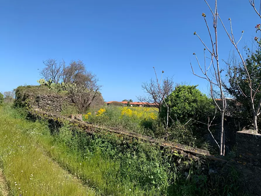 Immagine 3 di Terreno agricolo in vendita  a Tremestieri Etneo