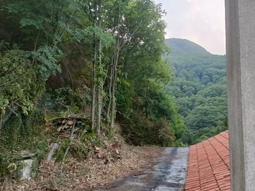 Immagine 28 di Casa bifamiliare in vendita  in Via Gino Pellegrini 14 a Varazze