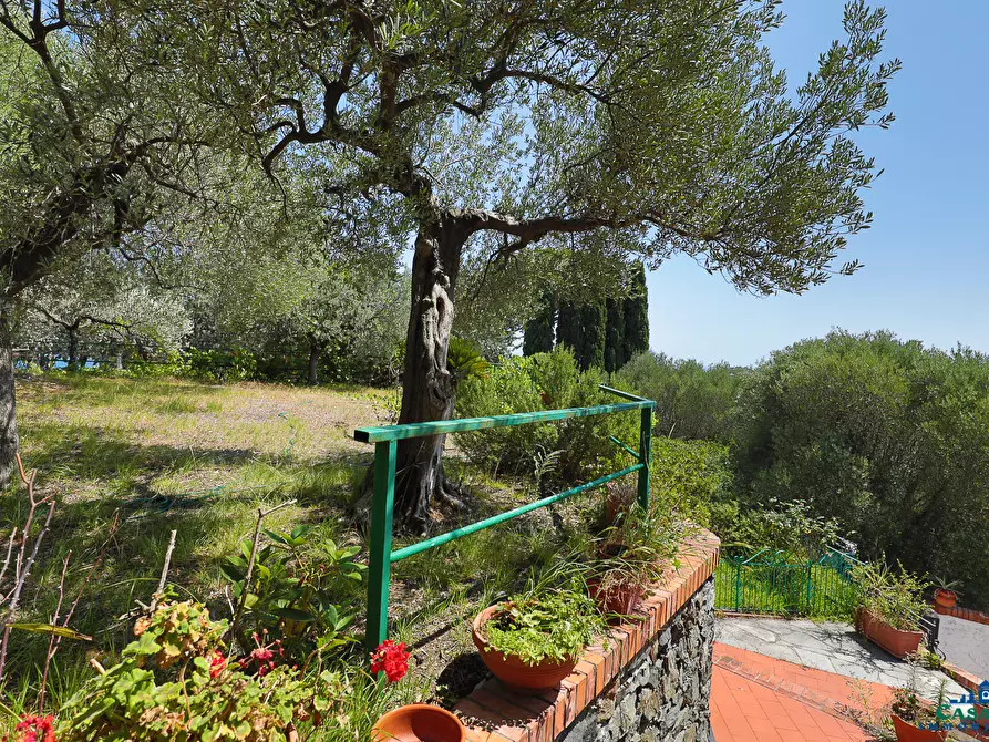 Immagine 5 di Villa in vendita  in Via Livio Canale 72 a Varazze