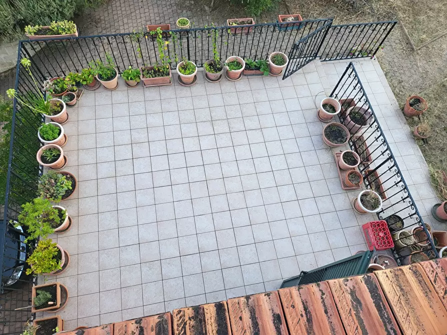 Immagine 37 di Casa indipendente in vendita  in Via Giotto 22 a Acri