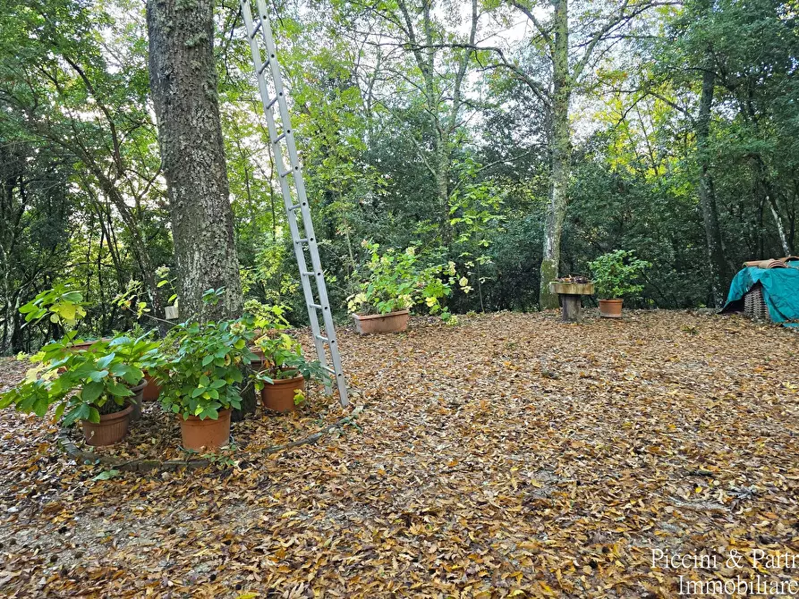 Immagine 62 di Villa in vendita  in Località Cinque Cerri a Bettona