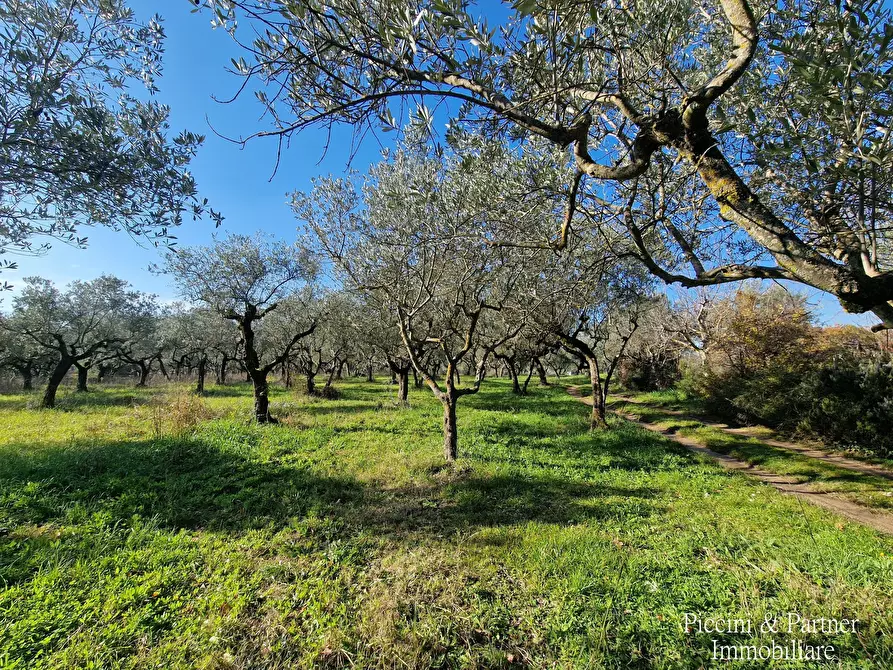 Immagine 77 di Agriturismo in vendita  in Località San Lorenzo a Castel Ritaldi