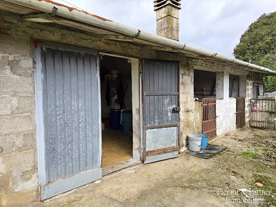 Immagine 20 di Terreno agricolo in vendita  in Località Colonnata a Gubbio