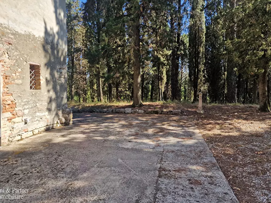 Immagine 6 di Rustico / casale in vendita  in Ex S. Maria a Umbertide