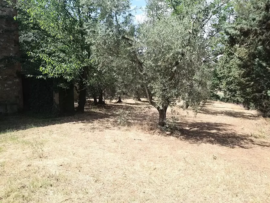 Immagine 27 di Rustico / casale in vendita  in 344R+84 Panicale a Panicale