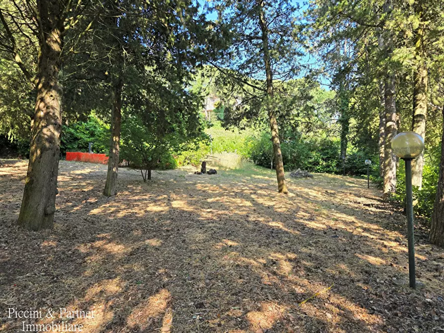 Immagine 74 di Baita in vendita  in Via dei Cespugli 10 a Passignano Sul Trasimeno