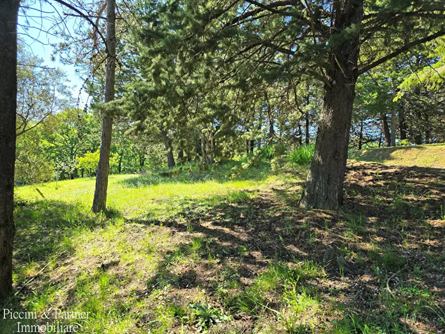 Immagine 77 di Rustico / casale in vendita  in Migianella a Umbertide