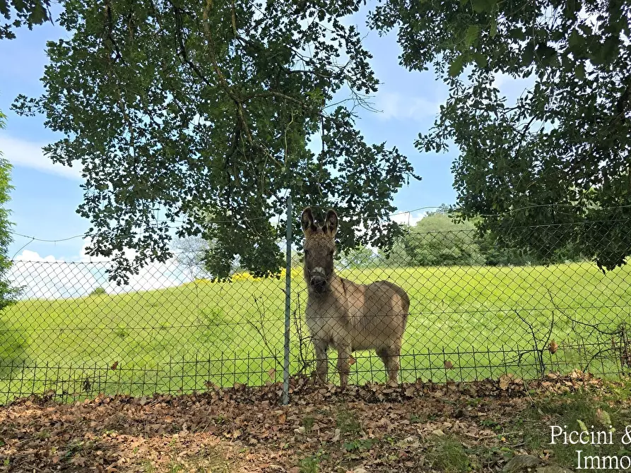 Immagine 92 di Rustico / casale in vendita  in Strada Ponte Resina - Monte Acutello 1 a Perugia