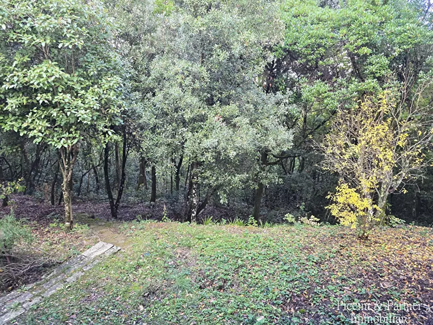 Immagine 48 di Villa in vendita  in Località Cinque Cerri a Bettona