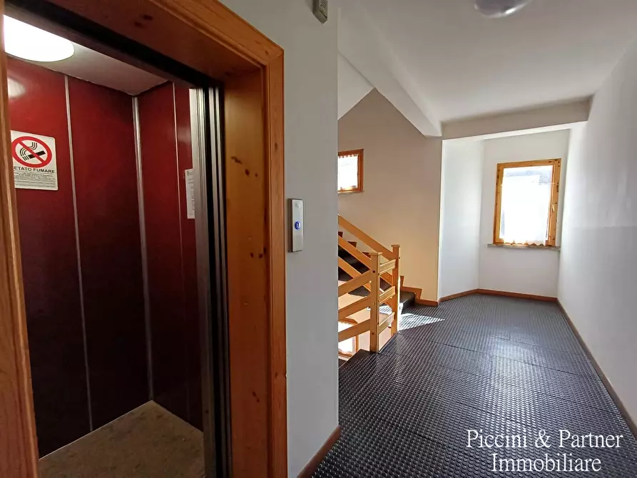 Immagine 6 di Bilocale in vendita  in Prato della Marsiliana Monte Amiata a Seggiano