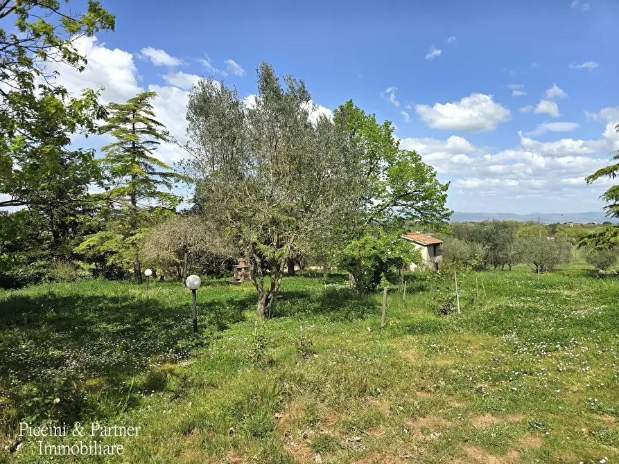 Immagine 3 di Rustico / casale in vendita  in Via Paganico 2 a Castiglione Del Lago