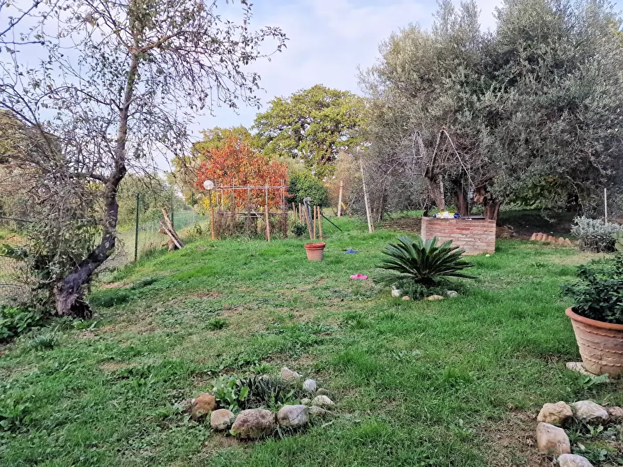 Immagine 6 di Rustico / casale in vendita  in Vocabolo Mercato Alto a Paciano