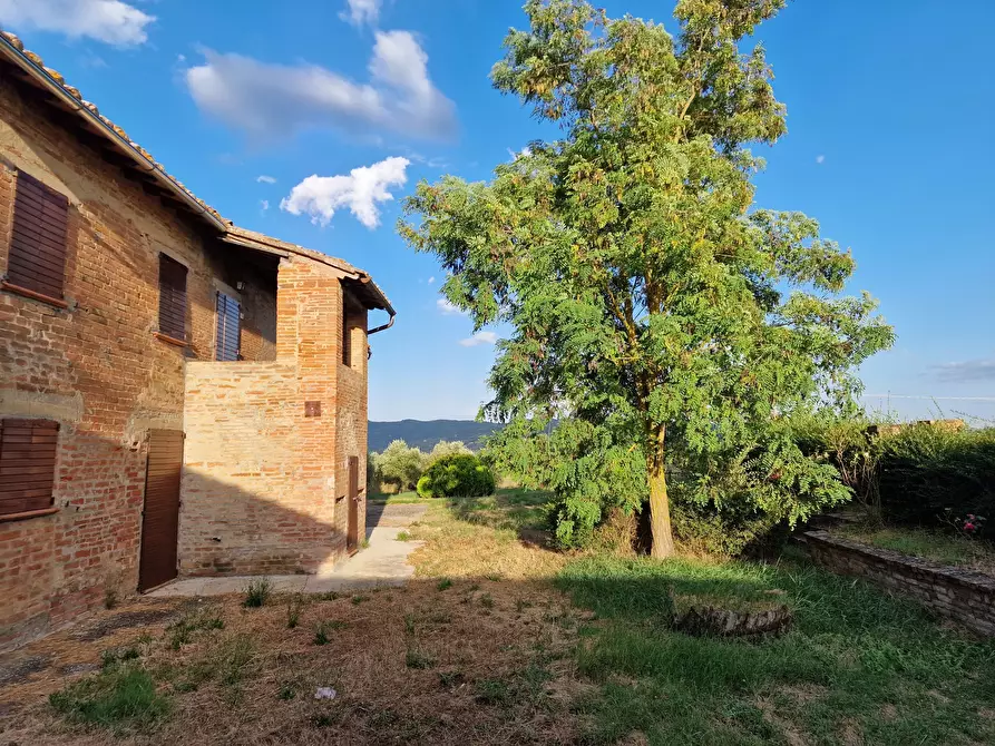 Immagine 43 di Rustico / casale in vendita  in Località Cantagallina Alta 11 a Castiglione Del Lago