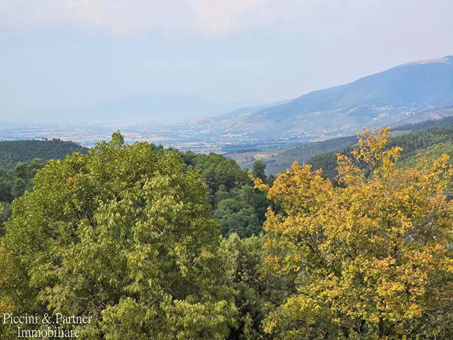 Immagine 54 di Rustico / casale in vendita  in Località Borgiano a Spoleto