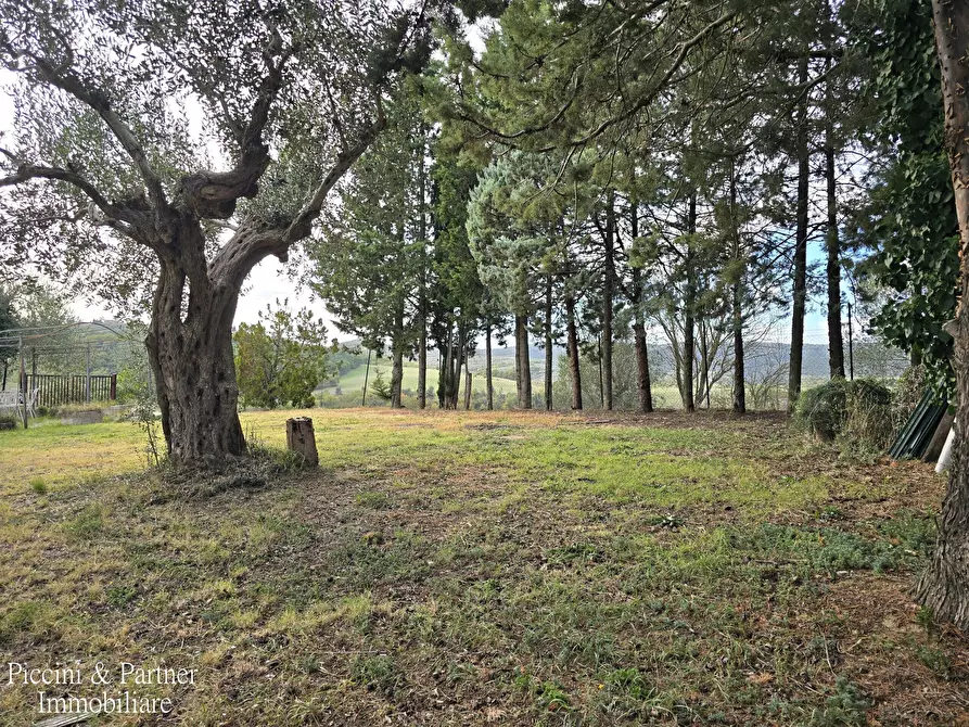 Immagine 70 di Rustico / casale in vendita  in Vocabolo Coccimignolo 36 a Marsciano