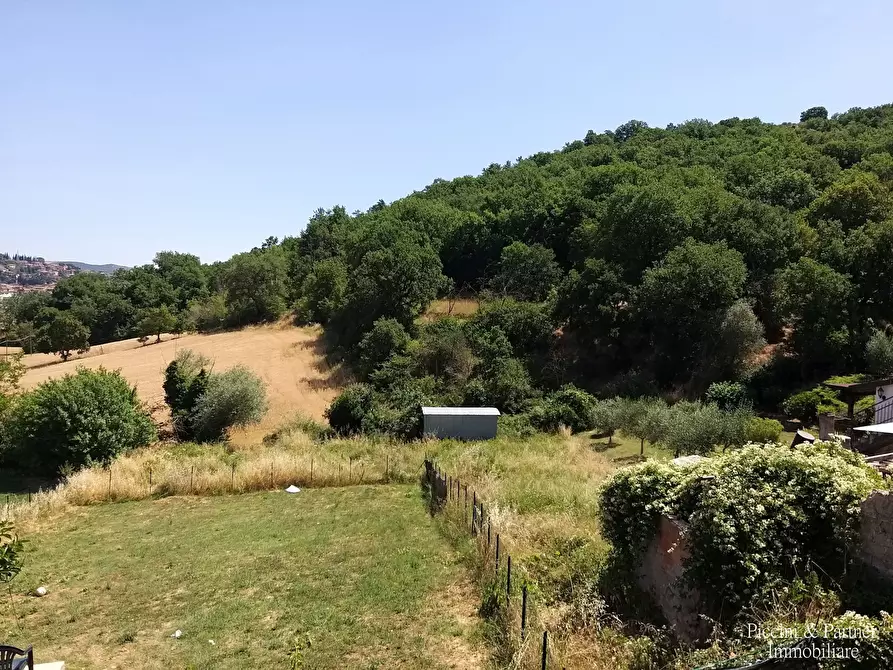 Immagine 12 di Terratetto in vendita  in Strada Vicinale da Macereto alle Grondici 3 a Panicale