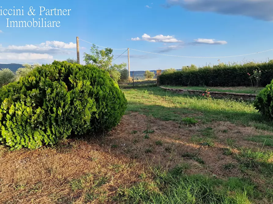 Immagine 45 di Rustico / casale in vendita  in Località Cantagallina Alta 11 a Castiglione Del Lago