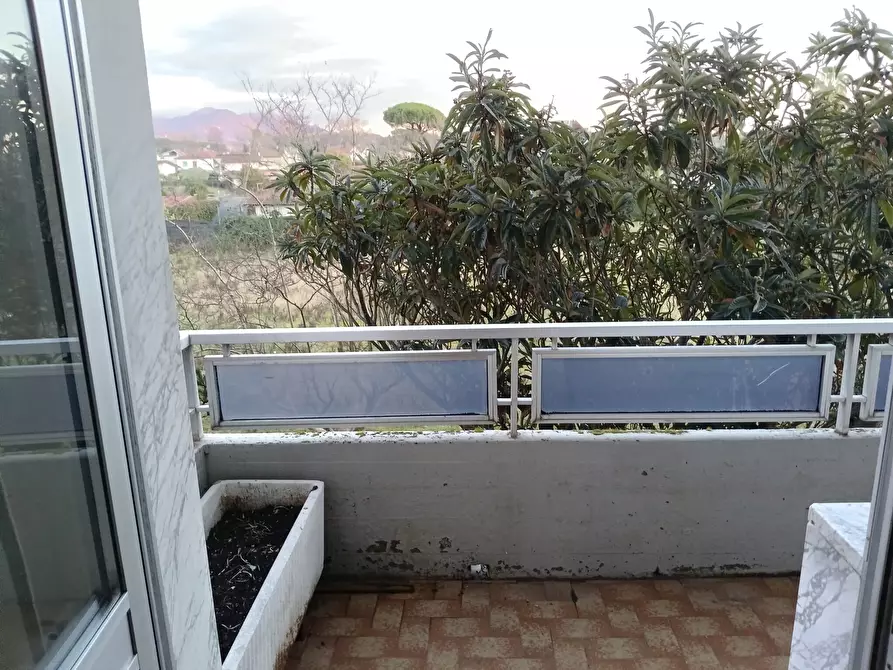 Immagine 18 di Pentalocale in vendita  in Via Marcello Garosi a Massa