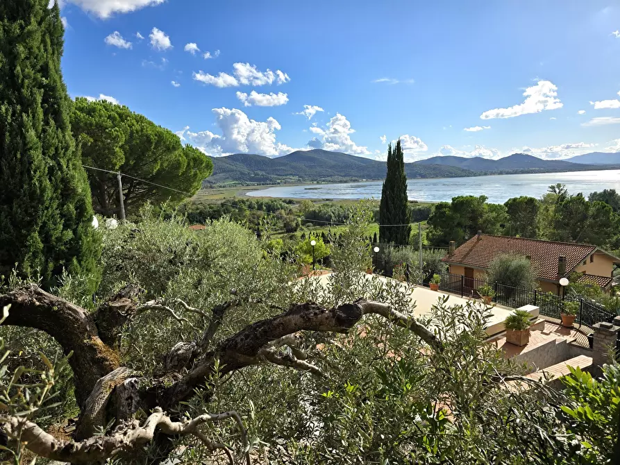 Immagine 62 di Villa in vendita  in Via dei Romani a Magione