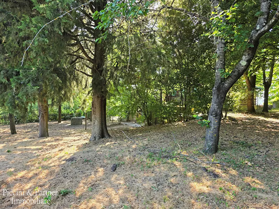 Immagine 76 di Baita in vendita  in Via dei Cespugli 10 a Passignano Sul Trasimeno