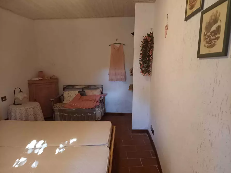 Immagine 17 di Casa semindipendente in affitto  a Camaiore