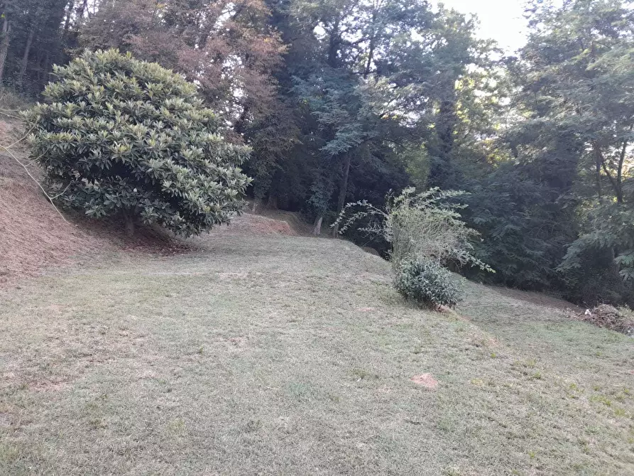 Immagine 58 di Rustico / casale in vendita  a Camaiore