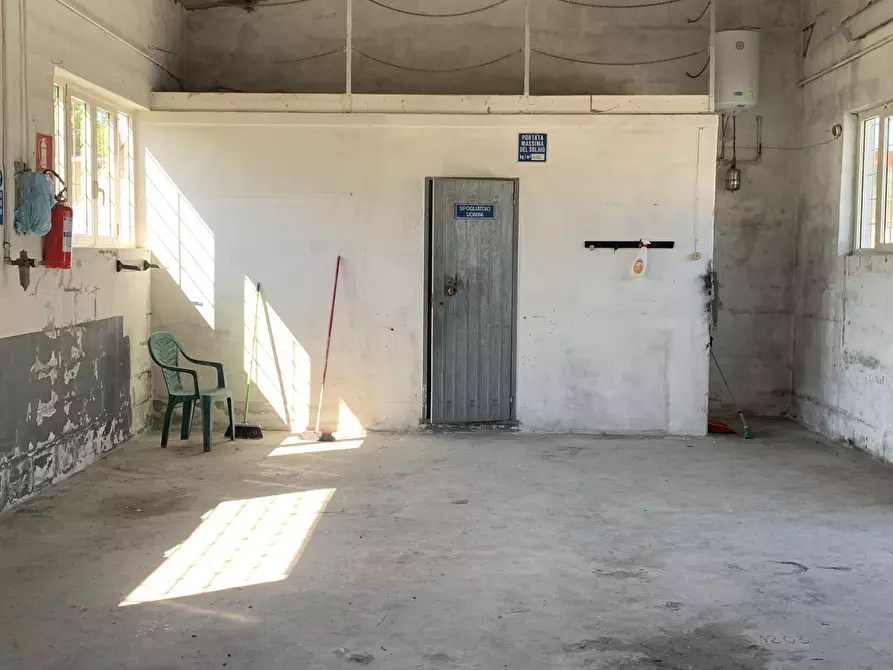 Immagine 7 di Attività artigianale in affitto  a Pietrasanta