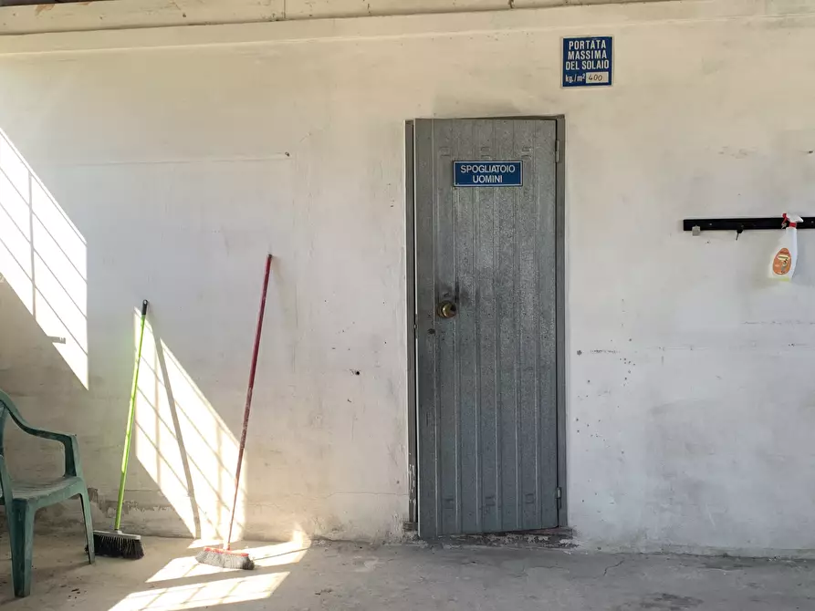 Immagine 13 di Attività artigianale in affitto  a Pietrasanta